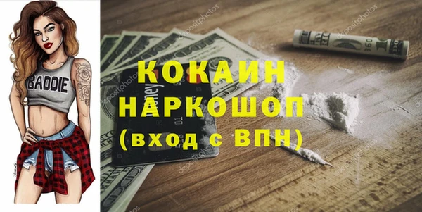 шишки Алексин