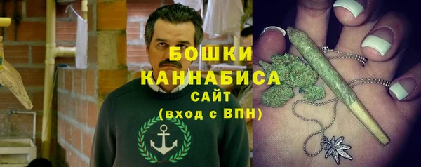 шишки Алексин