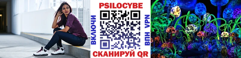 OMG вход Бирюсинск Псилоцибиновые грибы Psilocybine cubensis